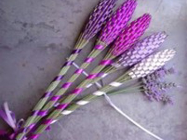 Nature Craft Drop-In : Everything Willow